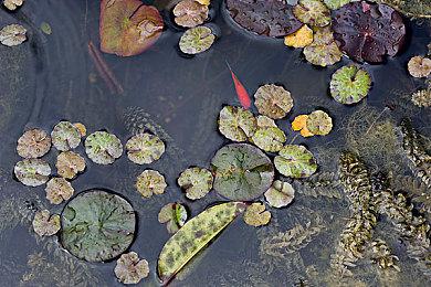 概念画师分享被取消的科幻改编游戏《怪形2》概念图